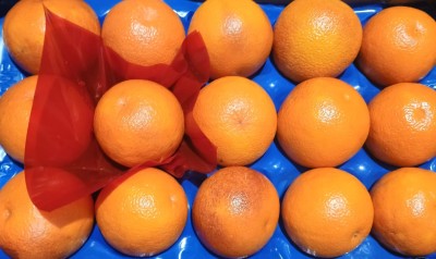 Foto Arance Tarocco Varietà Ippolito Calibro 2 Origine Italia Marchio Frutteti Siciliani  2